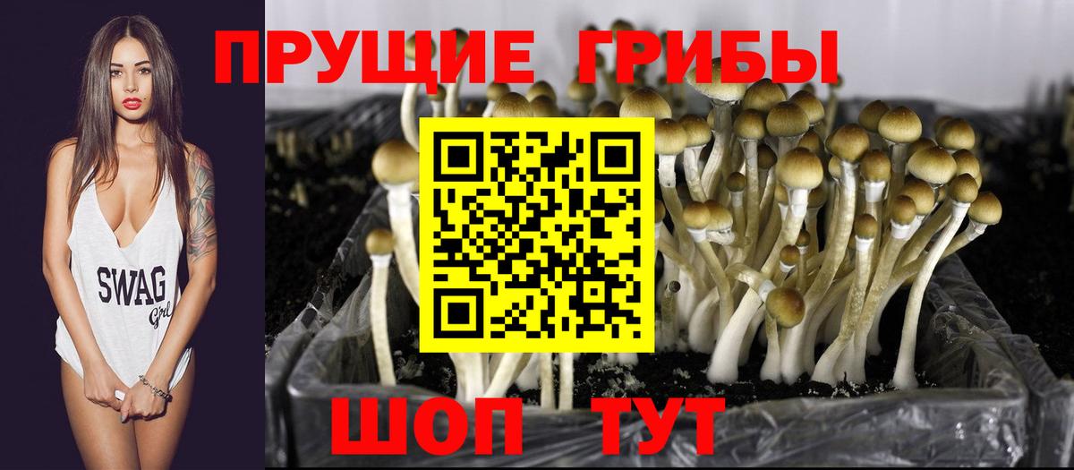 Галлюциногенные грибы Cubensis Ахтубинск